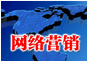 網(wǎng)絡營銷 網(wǎng)絡營銷